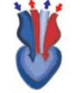 0600bu9f-3464-131x153.png