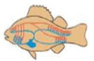 0600bup7-cec5-193x126.png