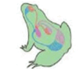 0600buqw-93fe-159x136.png