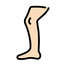 Leg emoji clipart. Free download transparent .PNG | Creazilla