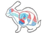 0600bv8u-5c92-161x117.png