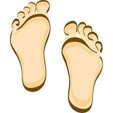 Human feet cartoon clip art | Free SVG