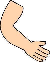 cartoon arm - Google Search | Clip art, Left and right handed, Social media art