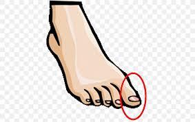 Foot Human Body Toe Hand Clip Art, PNG, 686x515px, Watercolor, Cartoon, Flower, Frame, Heart Download Free