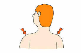 CT Shoulder in Chandigarh at best price
