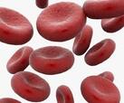 Еритроцити в крові людини — будова, функції, норма