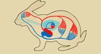 0600bvmf-d61b-208x112.png