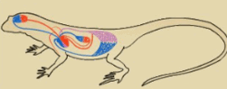 0600bvmy-93f4-251x99.png