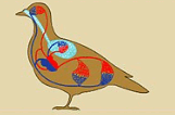 0600bvn6-4e53-199x131.png