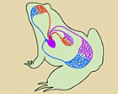 0600bvnm-8da6-199x158.png