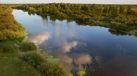 Поверхневі води України. Контрольна робота з теми "Поверхневі води України"