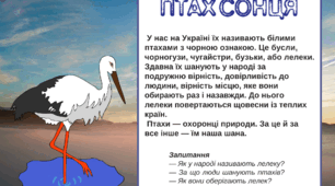 Позакласне читання . "Птах сонця" . 