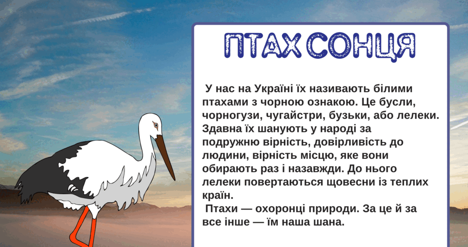0600bz28-85bf-940x496.png
