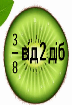 0600bzsv-5eda-250x364.png