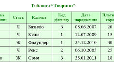Бази даних. Створення таблиць
