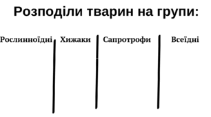 Розподіли тварин за типом живлення
