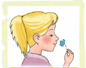 0600c283-f774-175x138.png