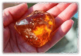 0600c35d-d878-266x184.png