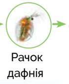 0600c440-b380-140x169.png