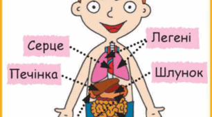 (Копія) ЯДС "Людина та її здоров’я. Організм людини"