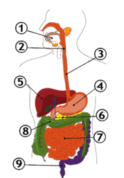 0600c4f2-435e-179x257.png