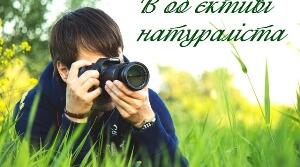 Презентація "Відео" "Загадкові рибки"