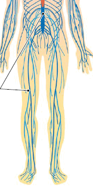 0600c5ta-5c8d-182x377.png