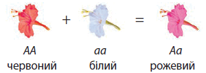0600c6f5-db02-300x106.png