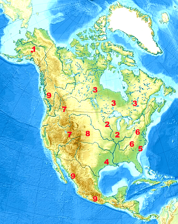 0600c9pe-2bb1-578x727.png