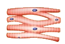 0600c9x6-34e1-127x86.png