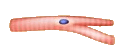 0600c9y7-6302-121x50.png