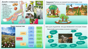 Презентація " Про природні екосистеми та біосферу." Пізнаємо природу" 6 клас НУШ