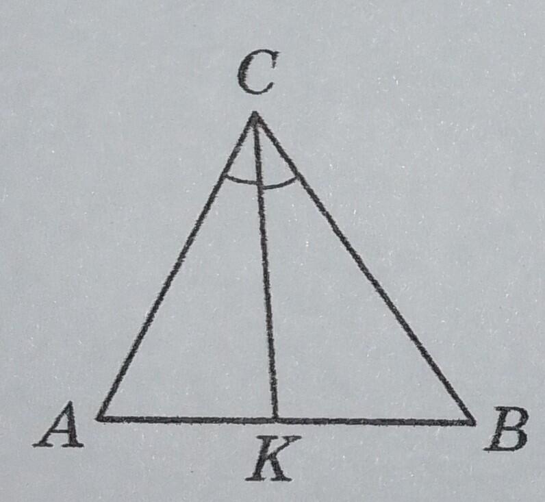0600cgvs-c5c6-796x733.jpg