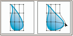 0600chbi-f88e-249x125.png