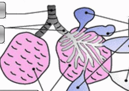 0600cjyt-c4ef-256x182.png