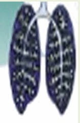 0600cjz9-5084-157x239.png