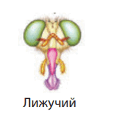 0600cn3e-de10-167x171.png