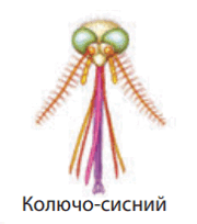 0600cn3t-059e-180x204.png