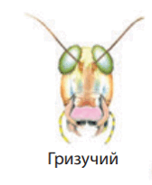 0600cn3v-1837-168x205.png