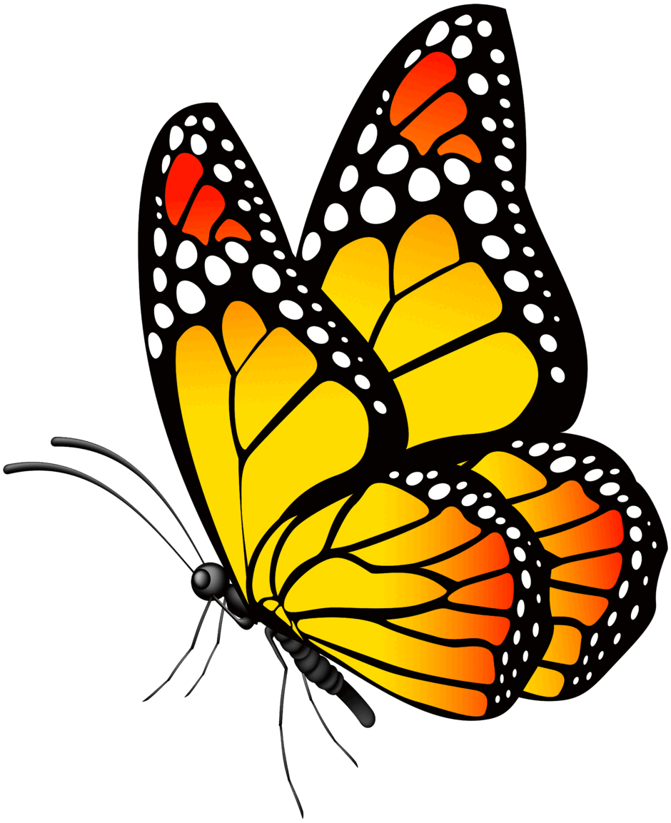 0600cn6c-1b96-940x1153.png