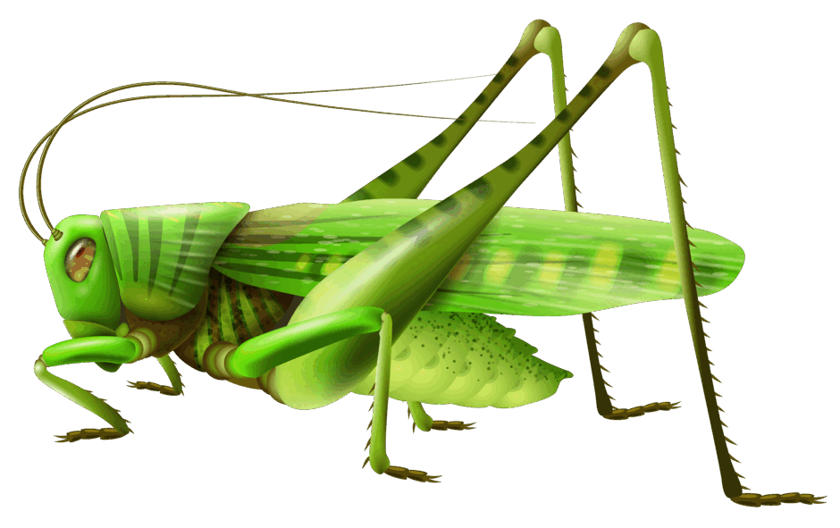 0600cn6r-ce22-940x591.png