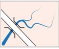 0600cwek-f5d8-191x159.png