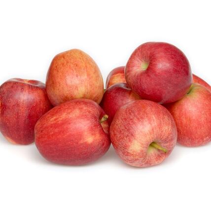 15 Different Types of Apples - Best Apples for Baking and Cooking