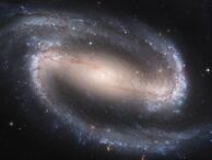 0600d0qs-2cf6-194x146.jpg