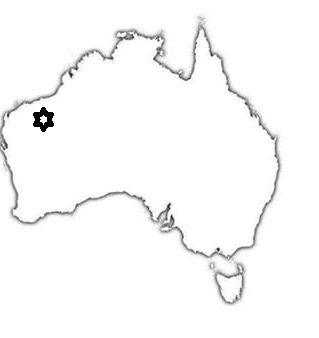 0600d1j6-c098-319x338.png