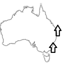 0600d1je-92b4-319x338.png