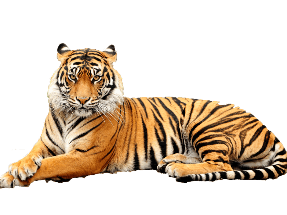 0600d6up-ade0-940x705.png
