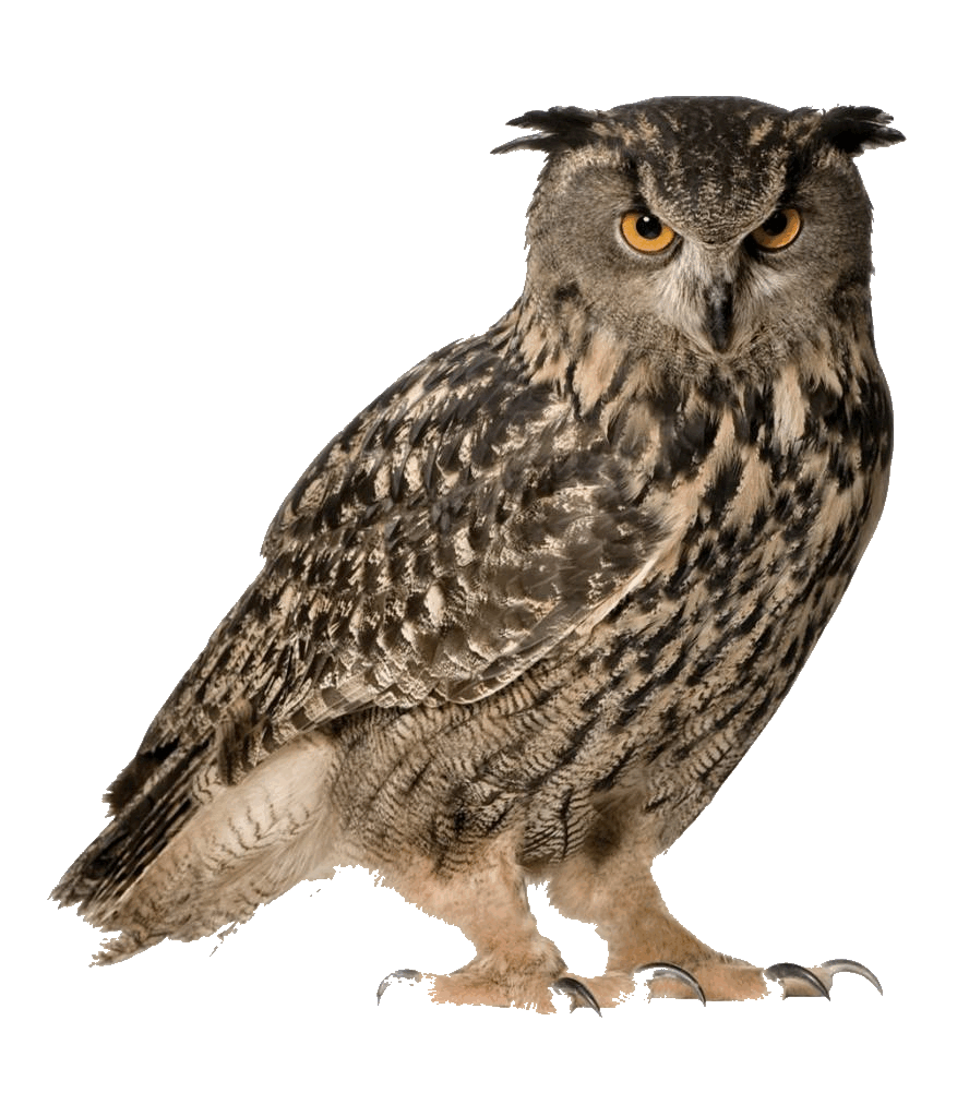 0600d71l-3661-888x1024.png