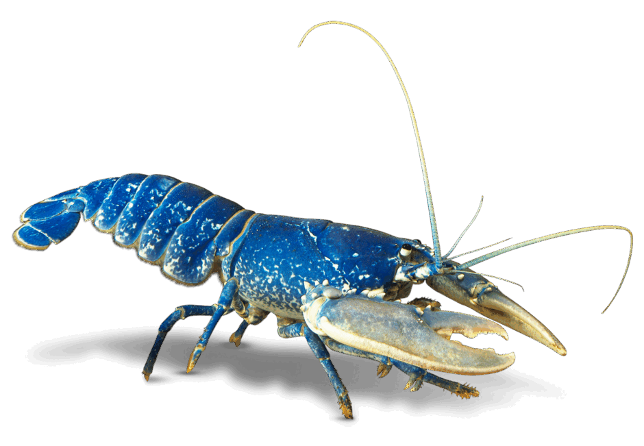 0600d721-3e3d-940x651.png