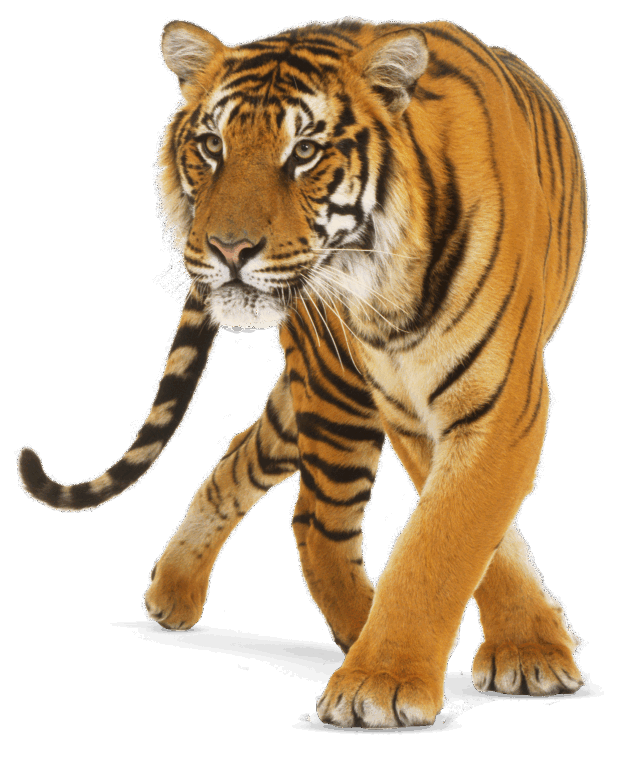 0600d784-93f7-640x766.png